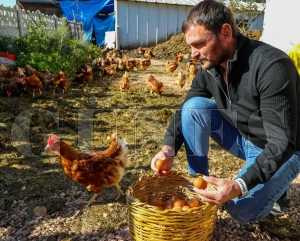 Celal Sezgi: �Ordu�da yumurta sekt�r� ba�kan G�ler sayesinde ayakta kald��